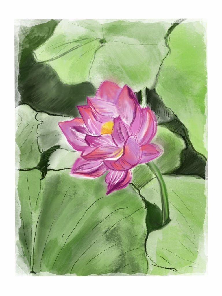 © Sara Farzaneh I digitale Illustration